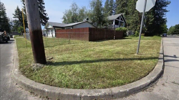 手入れされていない荒れた庭のビフォーアフター