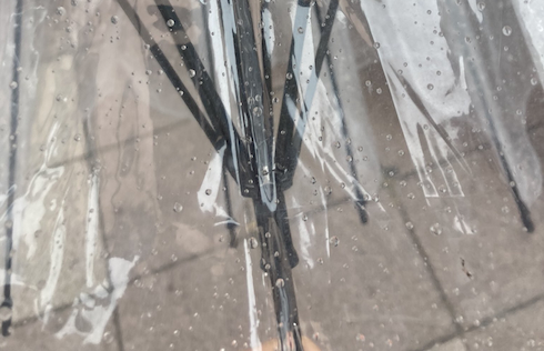 傘にキンモクセイ