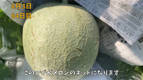 こちらのヒビが