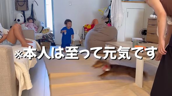 虫刺されのアレルギー反応により顔が腫れ上がってしまったものの元気な息子