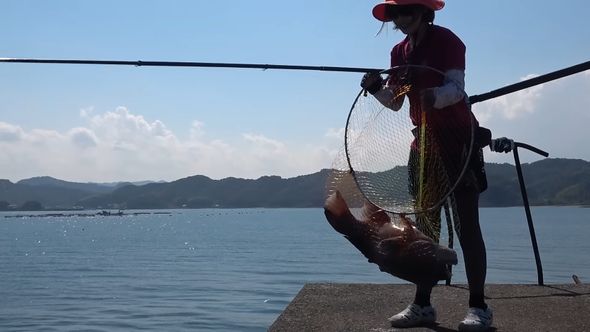 網ですくい上げられた巨大魚