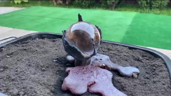 クレイジーティモン