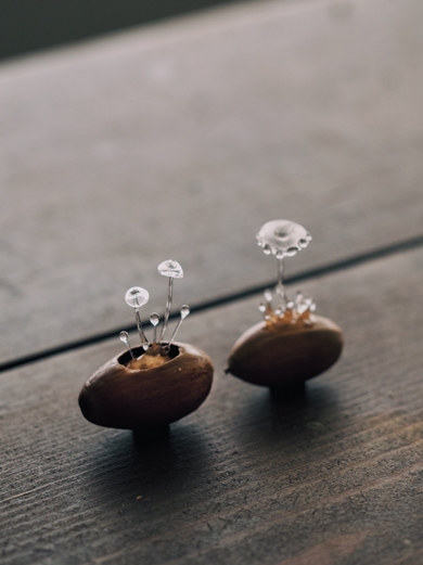 どんぐりから生えた透明な菌類