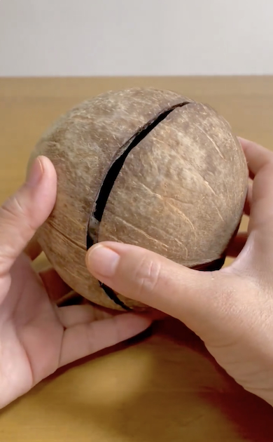 ココナッツの中のミニチュアハウス