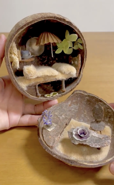 ココナッツの中のミニチュアハウス