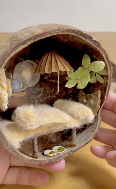 ココナッツの中のミニチュアハウス