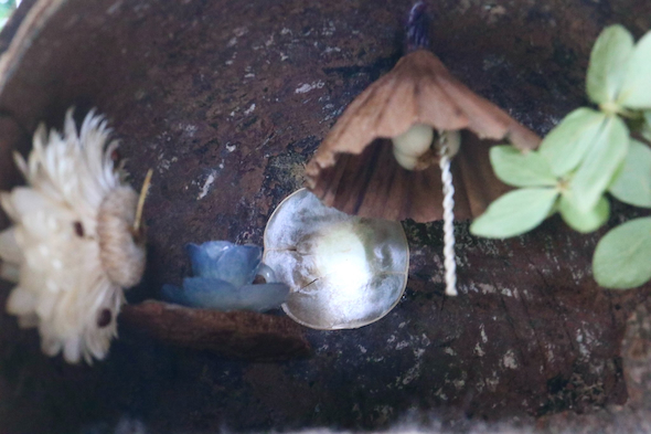 ココナッツの中のミニチュアハウス