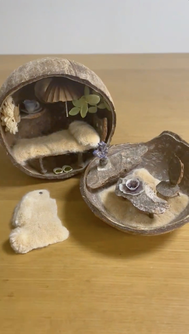 ココナッツの中のミニチュアハウス