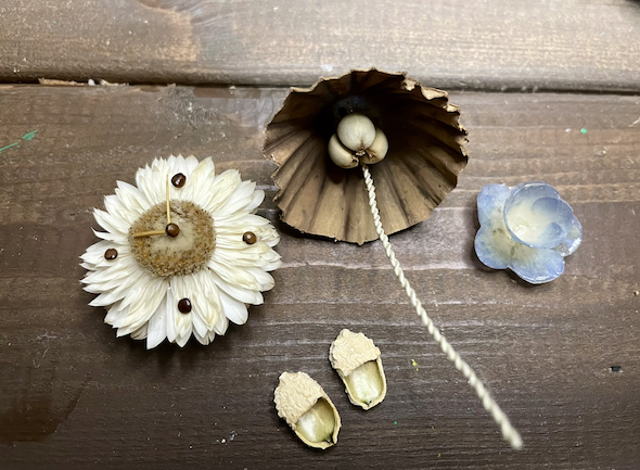 ココナッツの中のミニチュアハウス