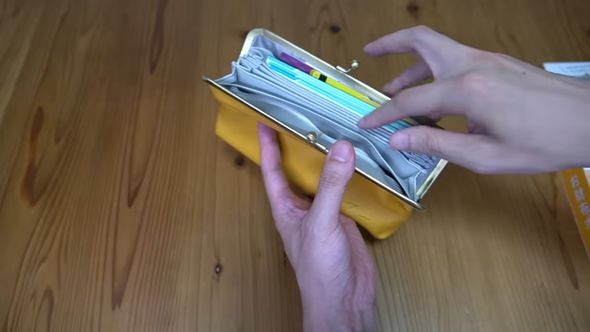 ムック本の特別付録であるお財布ポーチにカードや通帳を入れた様子
