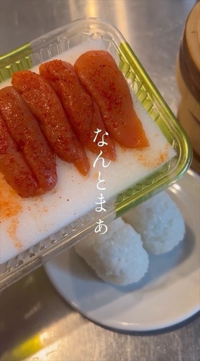 明太子のスポンジが家庭菜園に大変身