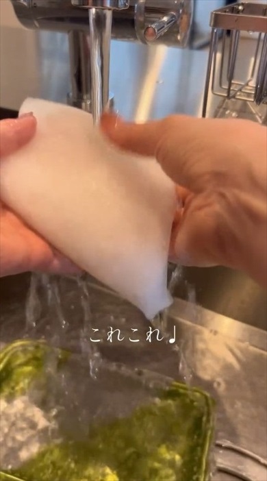 明太子のスポンジが家庭菜園に大変身