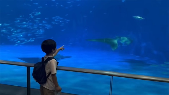 アメリカ育ちの子どもたちが人生初の日本食を食べたら