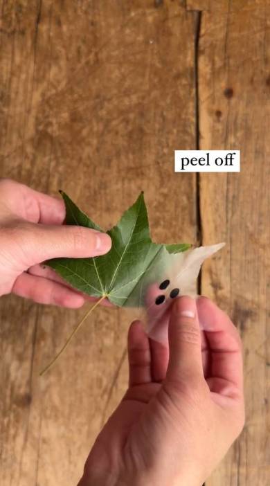 ゴーストリーフ