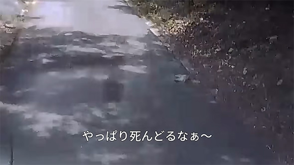 やっぱり死んどる
