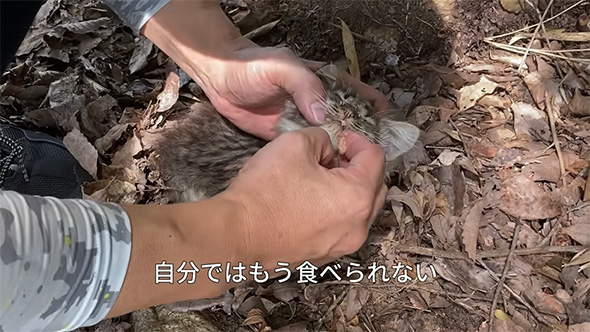 自分ではもう食べられない