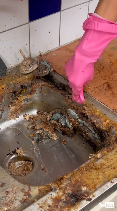 女王のシンク掃除