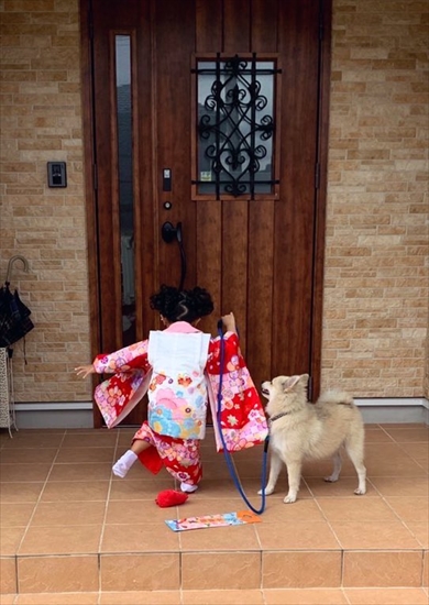 七五三で3歳から7歳に成長した娘と犬