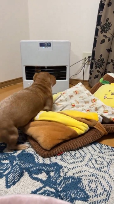 位置もしっかり確認