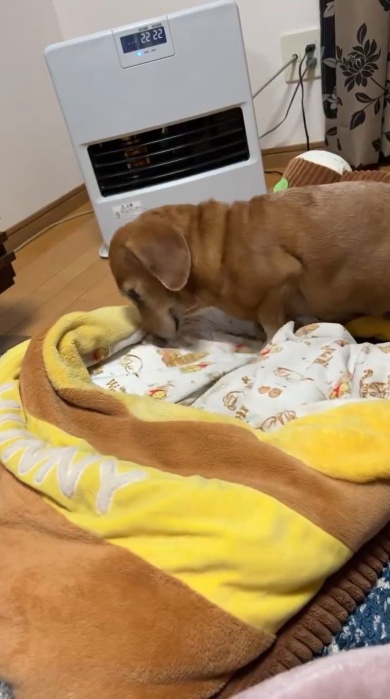 ベッドメイクも欠かさずに