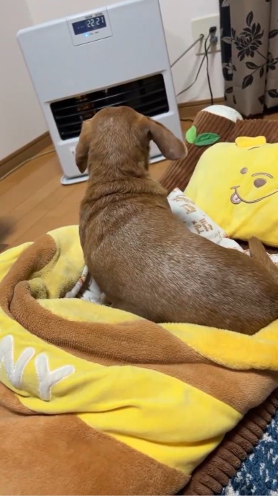 ベストポジション！