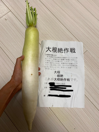 大根絶作戦