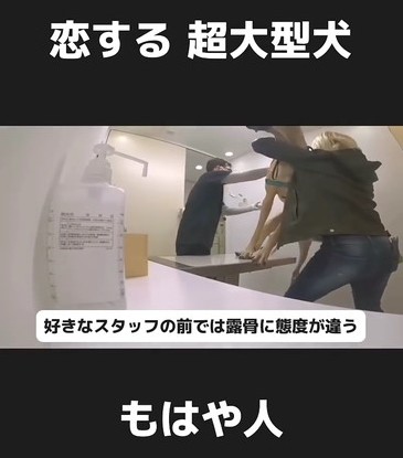 飼い主さんの場合