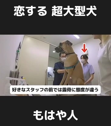 好きな人の場合