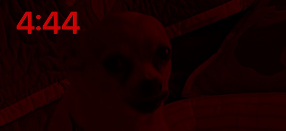 iPhoneの機能により赤黒くなってホラー画像と化したワンコの写真