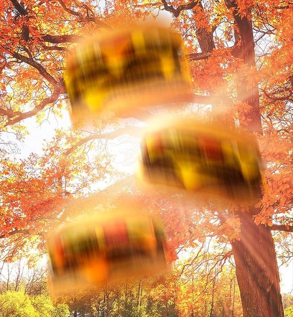 マクドナルド