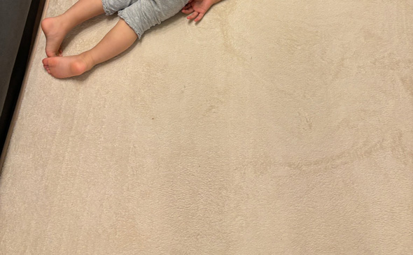 2歳時がホットカーペットにニンゲンホイホイされる