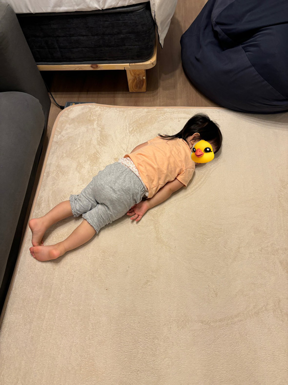 2歳時がホットカーペットにニンゲンホイホイされる