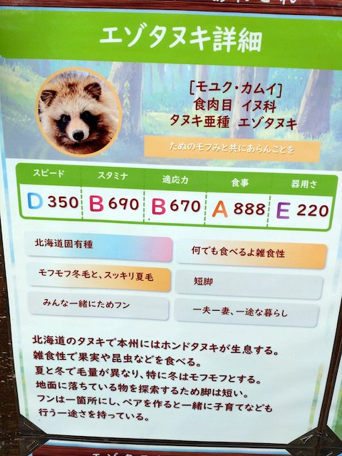 キタキツネ エゾタヌキ おびひろ動物園 ウマ娘