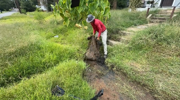 庭　ビフォーアフター　清掃　草刈り