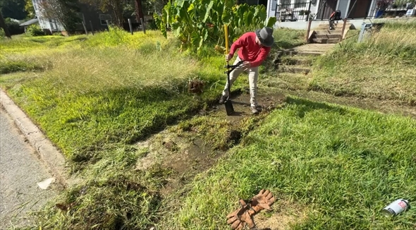 庭　ビフォーアフター　清掃　草刈り