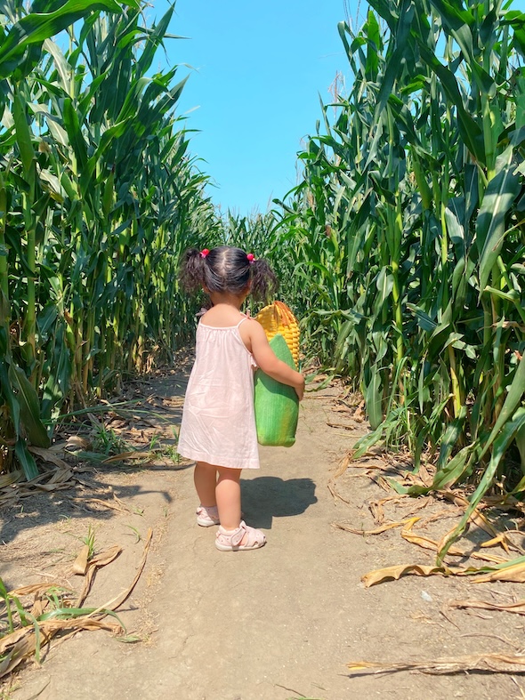 令和のメイちゃん