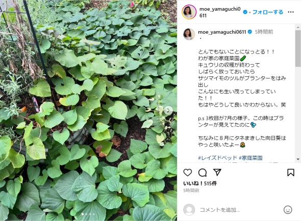 「とんでもないことになっとる！！」