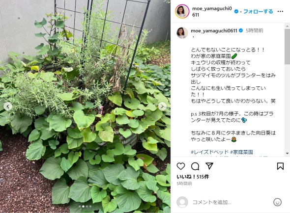 青々としたつた