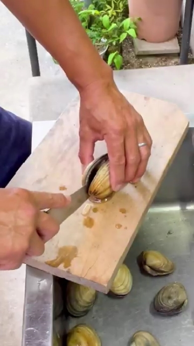 漁師ワタルの大アサリ