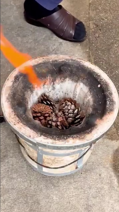 漁師ワタルの大アサリ