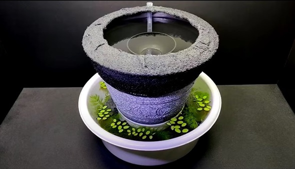 100均でDIYしたメダカ鉢がすごい