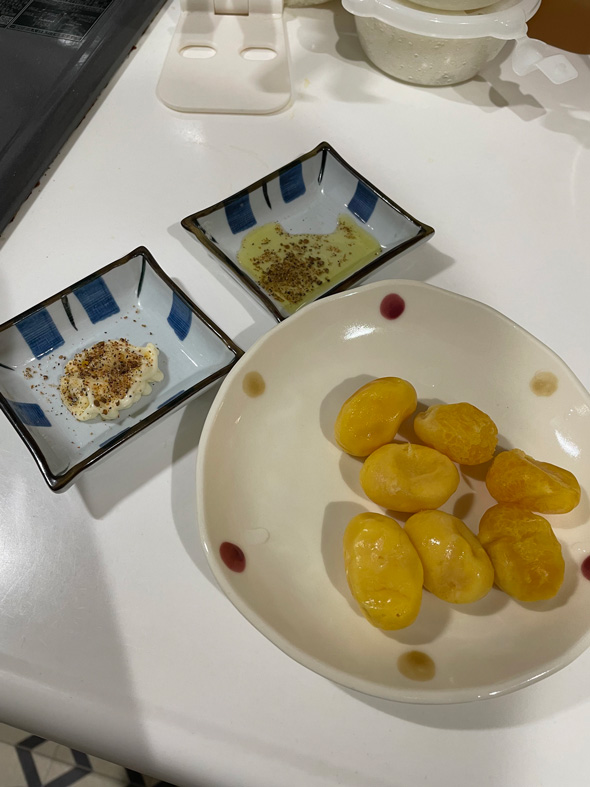 ペット イグアナ 産卵 無精卵 卵 食べる 食レポ