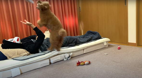 華麗な大ジャンプを披露します