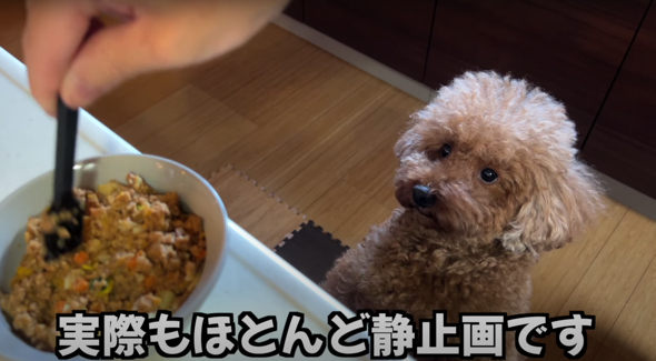 待ちに待った朝ご飯