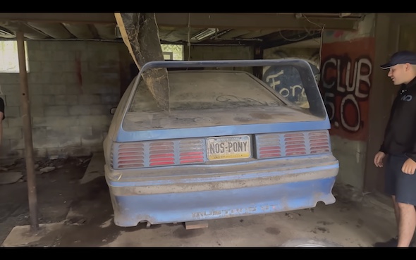 洗車 アメ車 マスタング