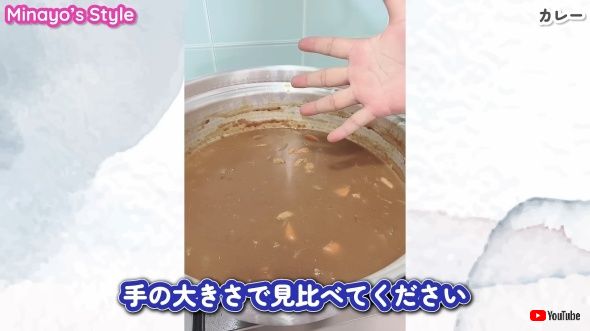 手と比べるとこのサイズ