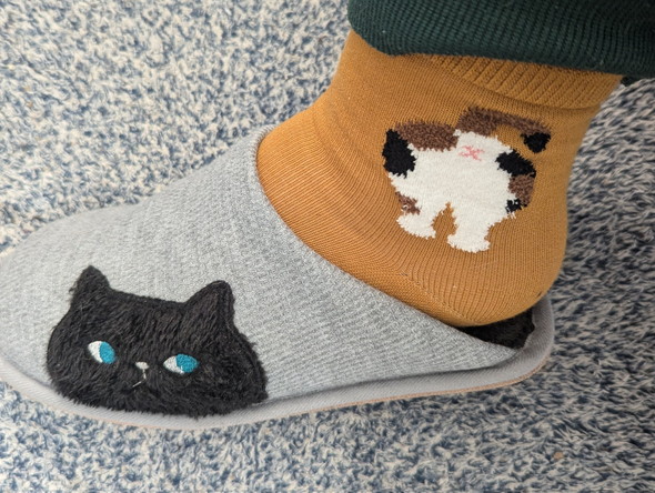 しまむらの猫ちゃん柄靴下
