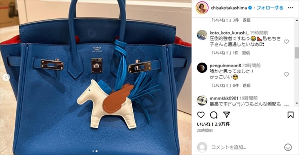 高嶋ちさ子のバーキン