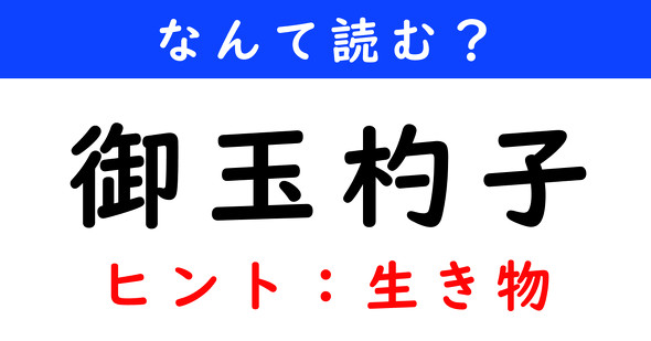 漢字クイズ　難読漢字　御玉杓子