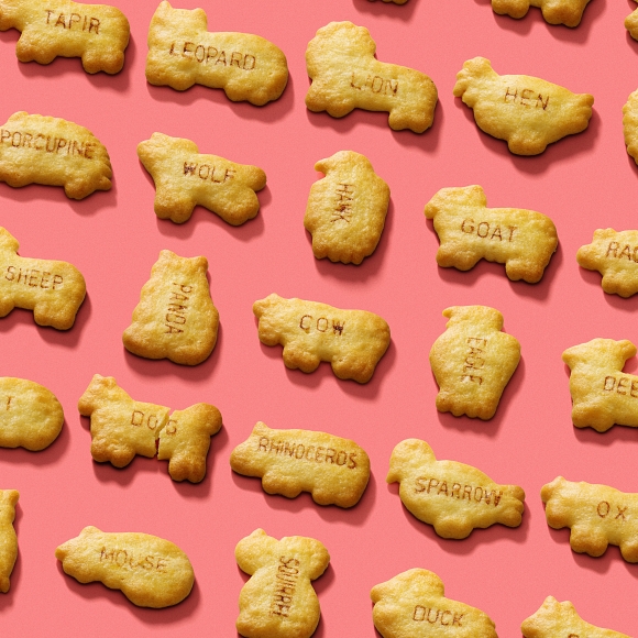 撮影テクニック 広告 グラフィック